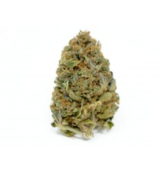2.5 g Infiorescenze femminili Amnesia Gran Riserva Crystalweed