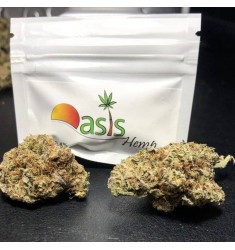 CHEESE CAKE Cannabis Light Oasis Hemp