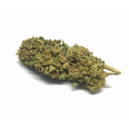 Cannabis Light JB KUSH Oasis Hemp