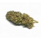 Cannabis Light JB KUSH Oasis Hemp