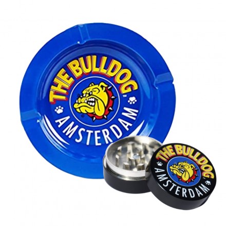 Kit The Bulldog Amsterdam blu