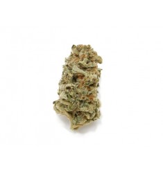 2.5 g Infiorescenze femminili Cream Mandarine Crystalweed