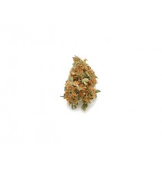 1g Infiorescenze femminili Super Skunk Gran Riserva Crystalweed