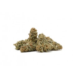 1g Infiorescenze femminili Lemon Haze Gran Riserva Crystalweed